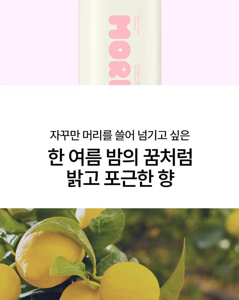 [챠미키티 에디션][손상케어] 모레모 슈퍼리페어샴푸 480ml 기획 3종 상세페이지 71